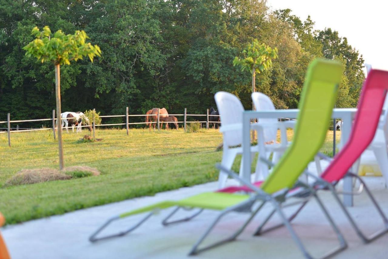 Gite Equestre Domaine Des Crins - Monpazier Capdrot Экстерьер фото